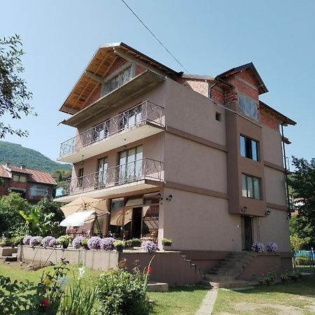 Guest House Dimitrije Нішка-Баня Екстер'єр фото
