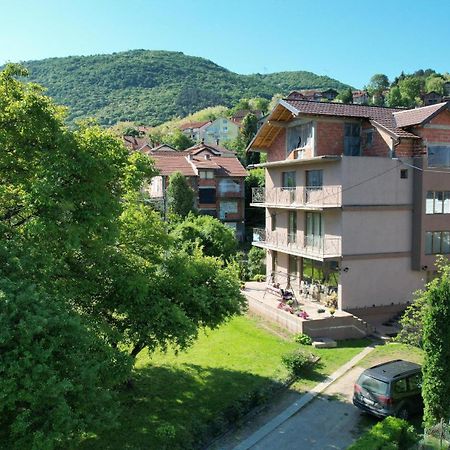 Guest House Dimitrije Нішка-Баня Екстер'єр фото