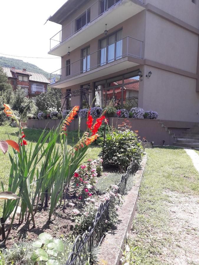 Guest House Dimitrije Нішка-Баня Екстер'єр фото