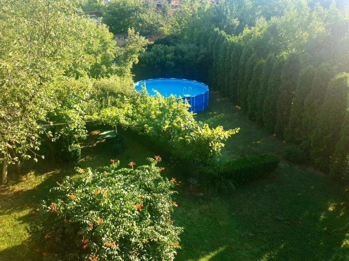 Guest House Dimitrije Нішка-Баня Екстер'єр фото