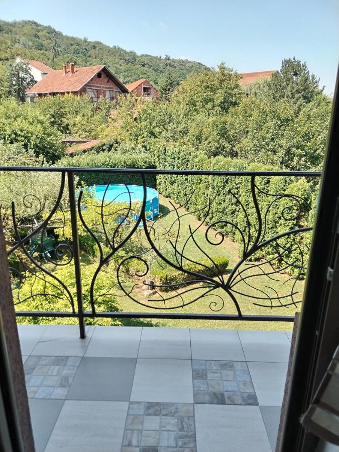 Guest House Dimitrije Нішка-Баня Екстер'єр фото