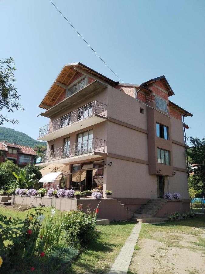 Guest House Dimitrije Нішка-Баня Екстер'єр фото