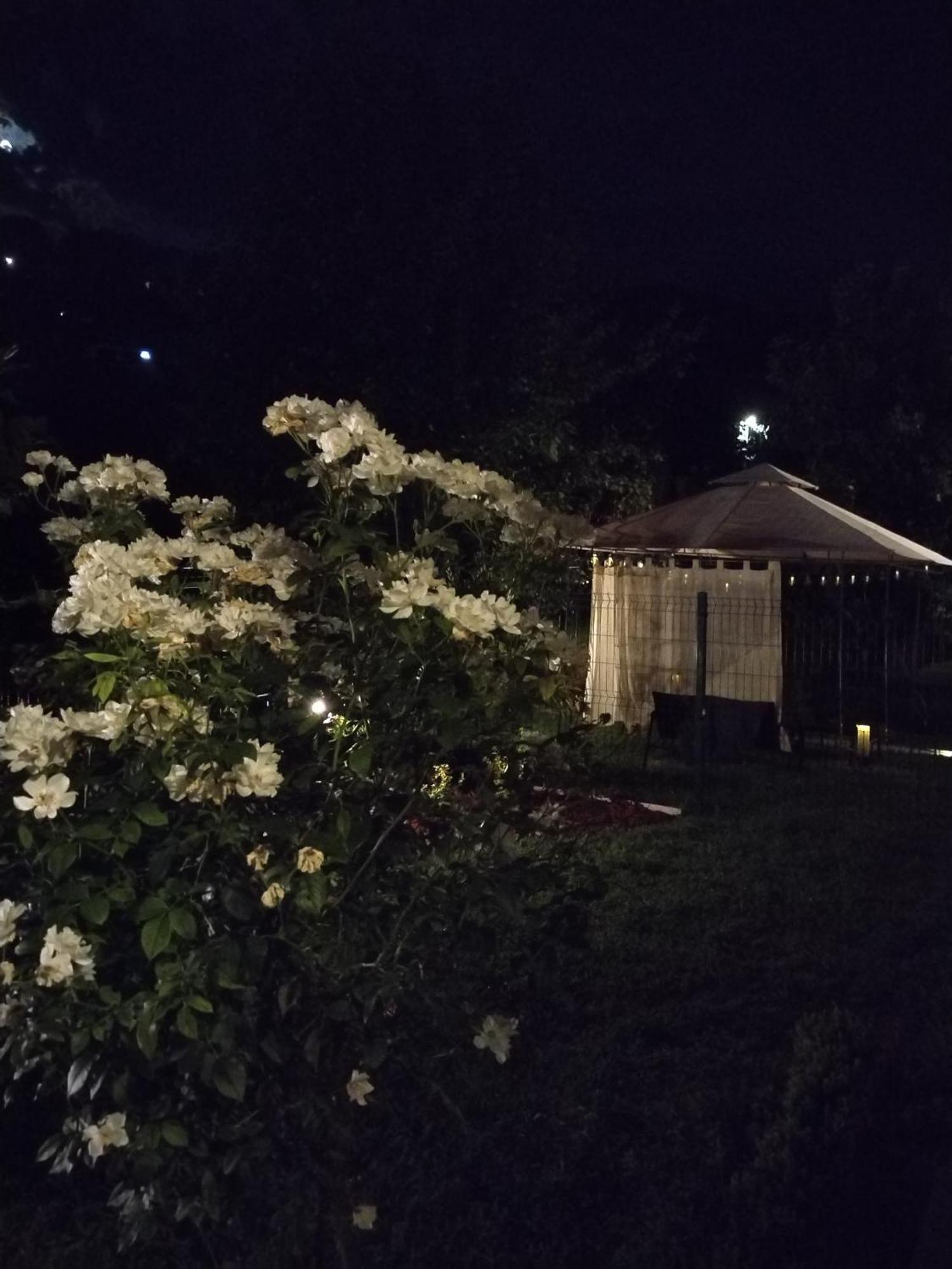 Guest House Dimitrije Нішка-Баня Екстер'єр фото
