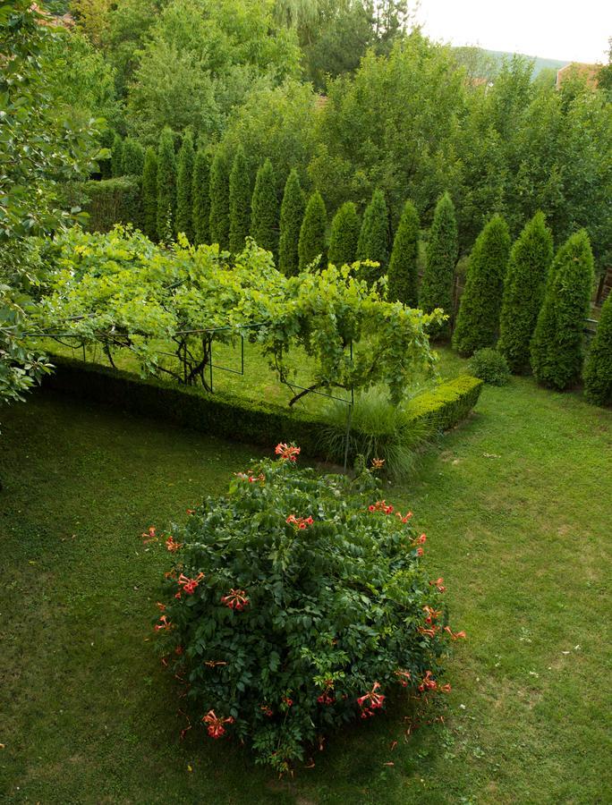 Guest House Dimitrije Нішка-Баня Екстер'єр фото